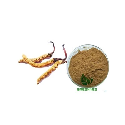 Cordyceps paddestoelpoeder 30% poly +20% -glucan